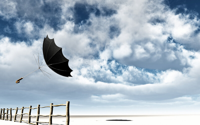 Black Umbrella Flying