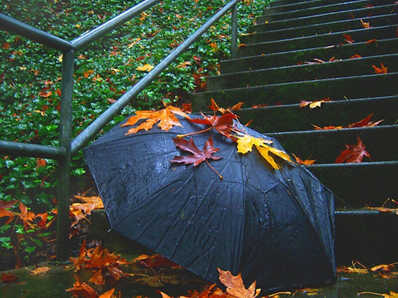Black Umbrella on Stairs