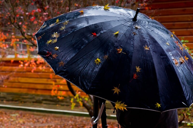 Black Umbrella with Leaves