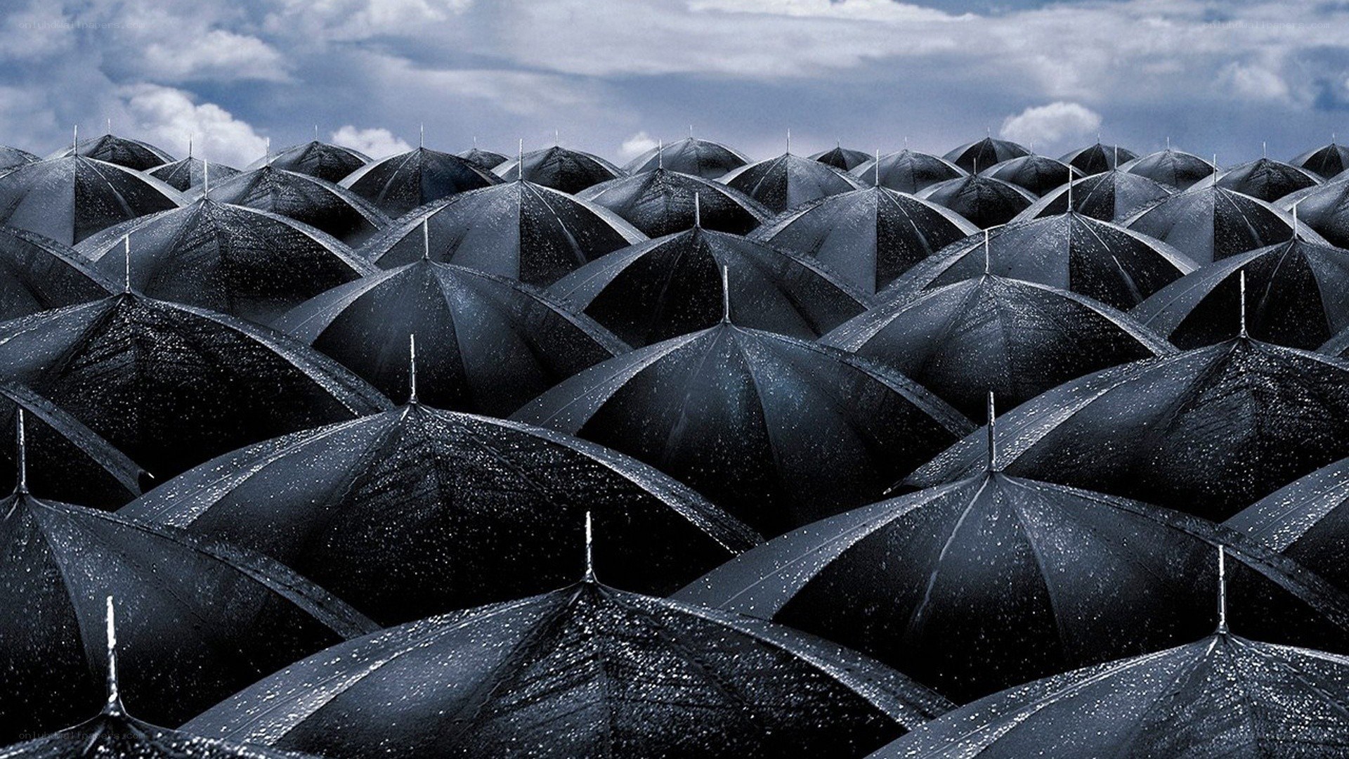 black umbrellas in rain