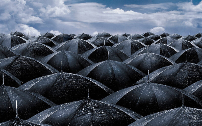 Black Umbrellas in Rain — Dramatic, Afternoon, Photograph