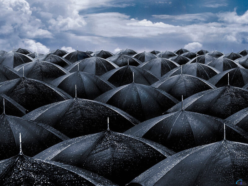 Black Umbrellas in Rain — Dramatic, Afternoon