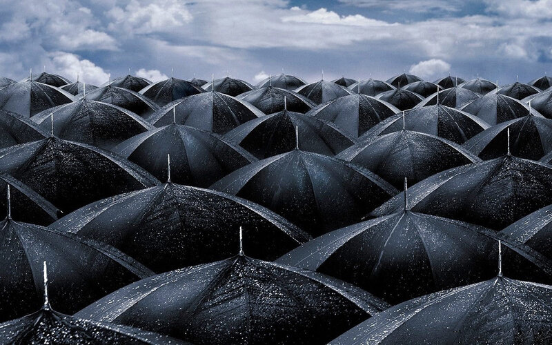 Black Umbrellas in Rain — Dramatic