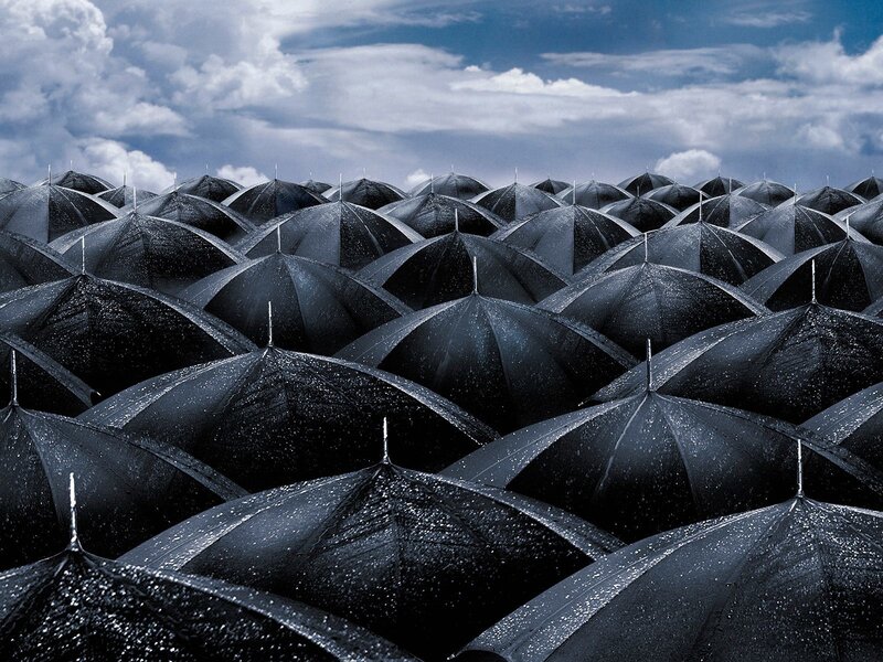 Black umbrellas in rain