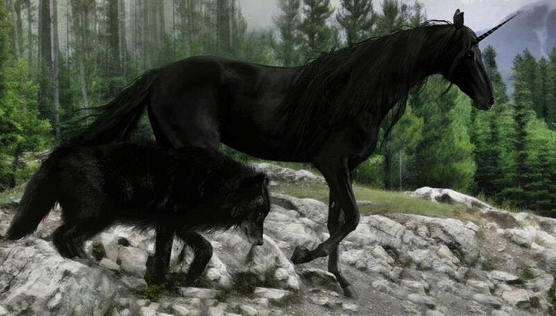 Black Unicorn and Wolf — Dramatic