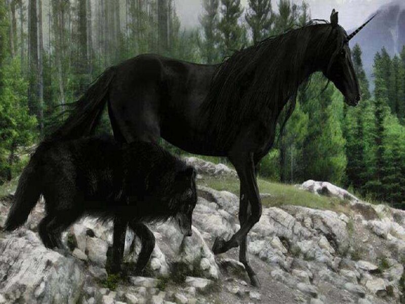Black Unicorn and Wolf — Mystical