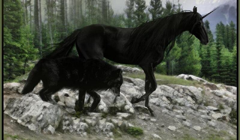 Black Unicorn and Wolf — Natural