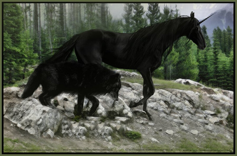Black Unicorn and Wolf