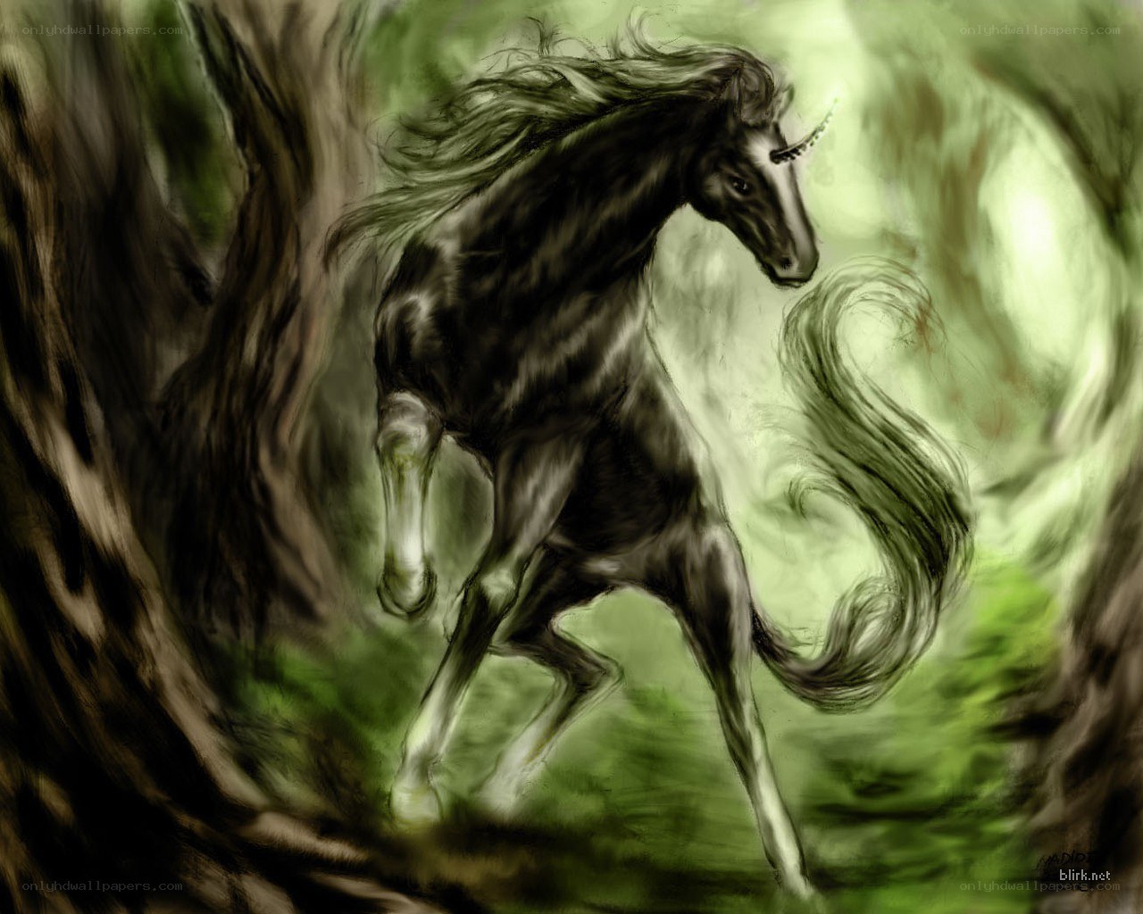 Black unicorn in a green forest