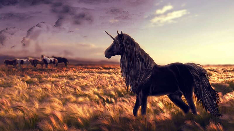 Black Unicorn in Field — Purple, Dramatic