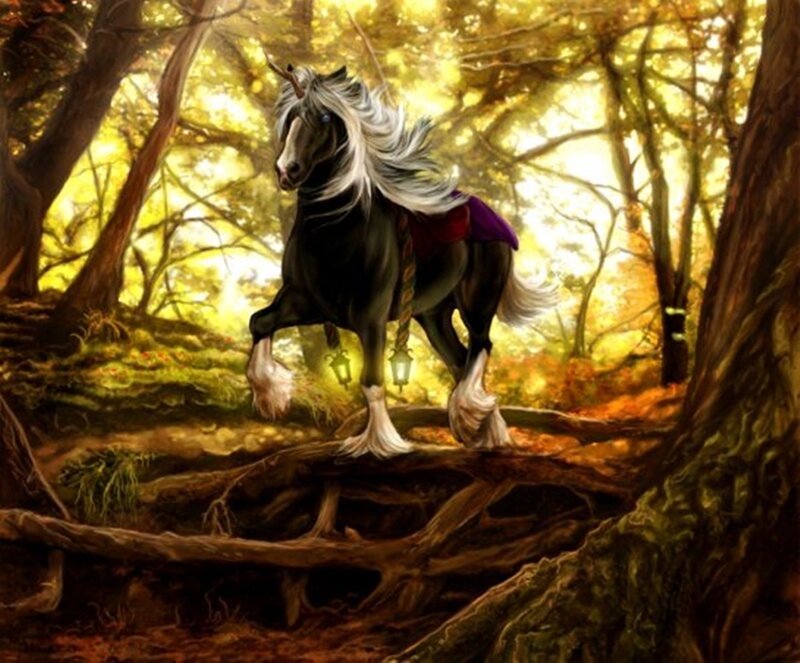 Black Unicorn in Forest — Brown