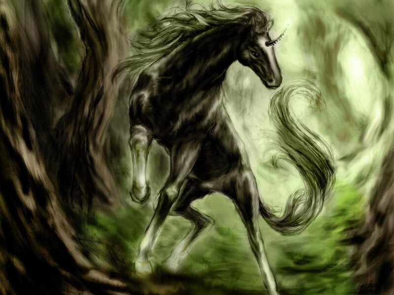 Black Unicorn in Forest
