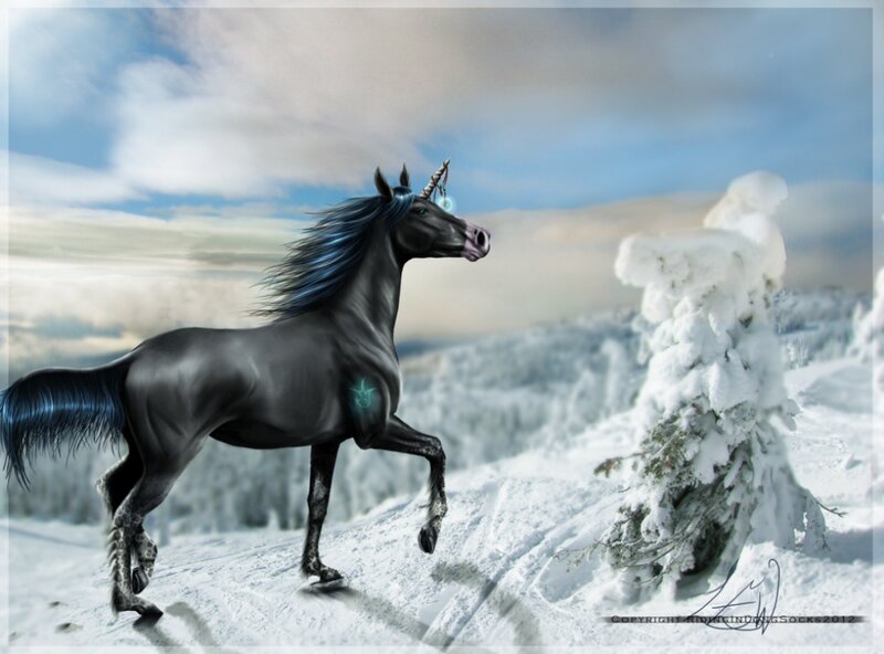 Black Unicorn in Snow