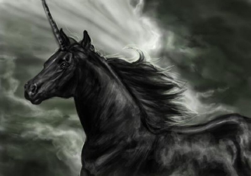 Black Unicorn in Storm