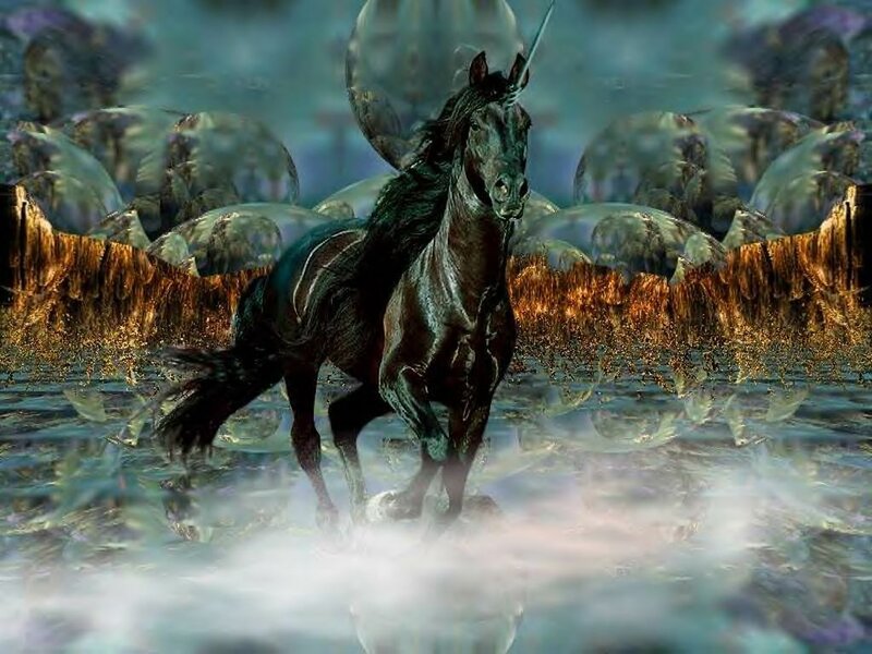 Black Unicorn in Water — Dramatic