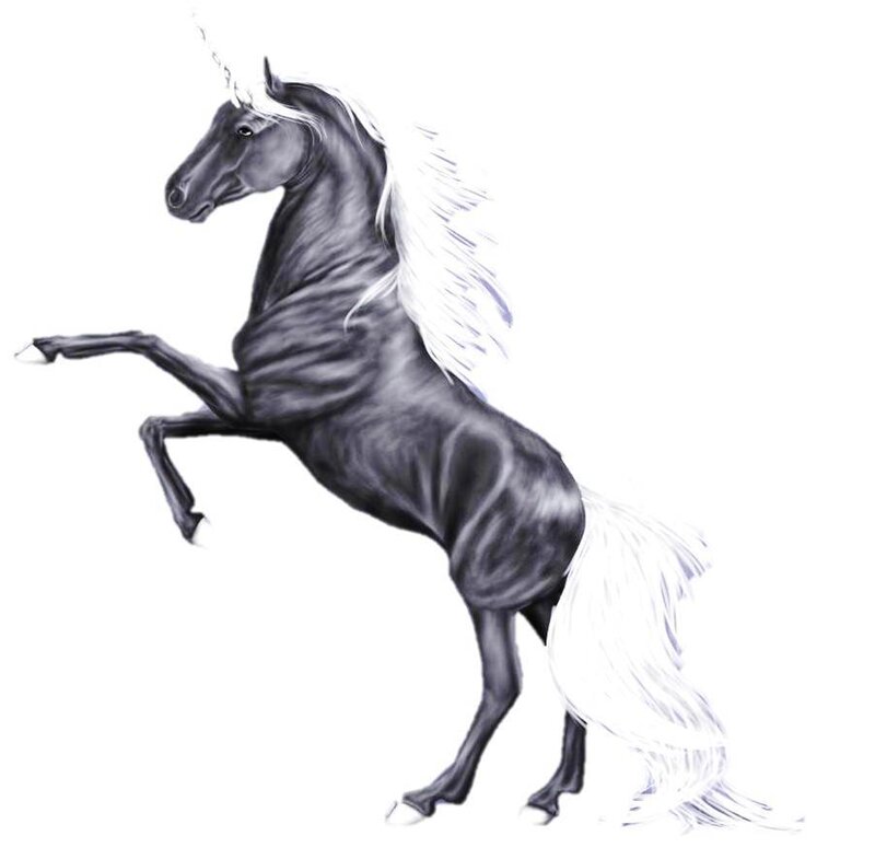 Black Unicorn Rearing — Dramatic, Illustration