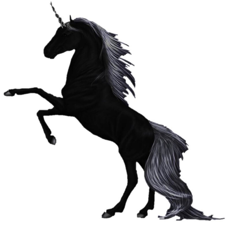 Black Unicorn Rearing — Dramatic