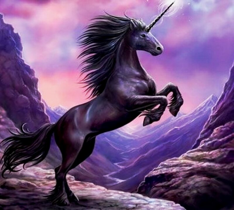 Black Unicorn Rearing — Purple