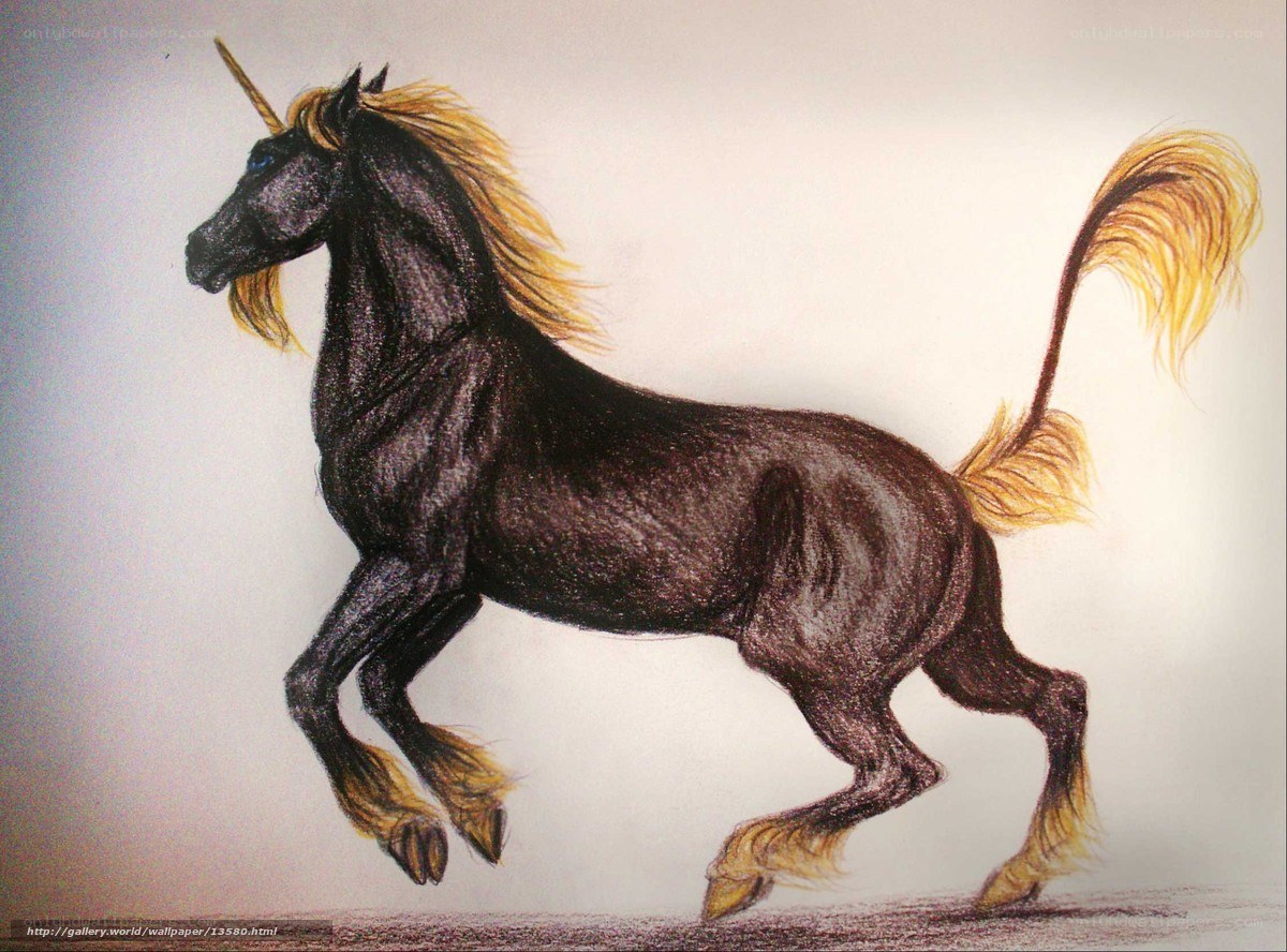 Black unicorn with golden mane