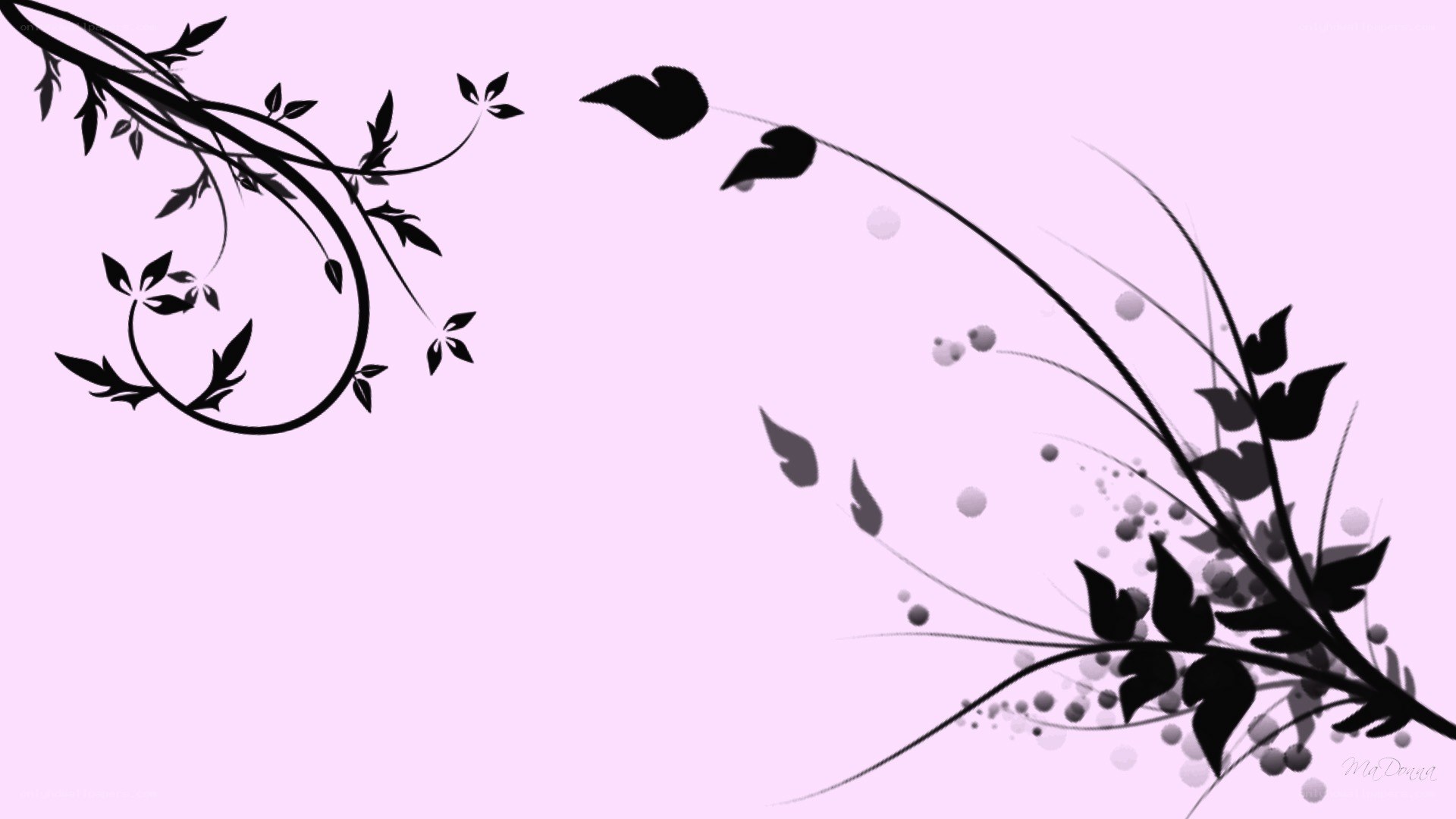 black vine on purple background