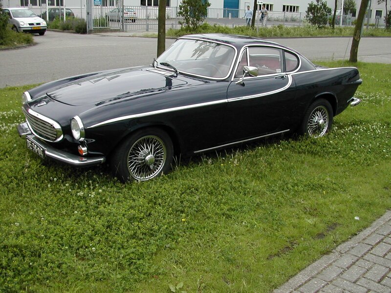 Black vintage coupe on grass