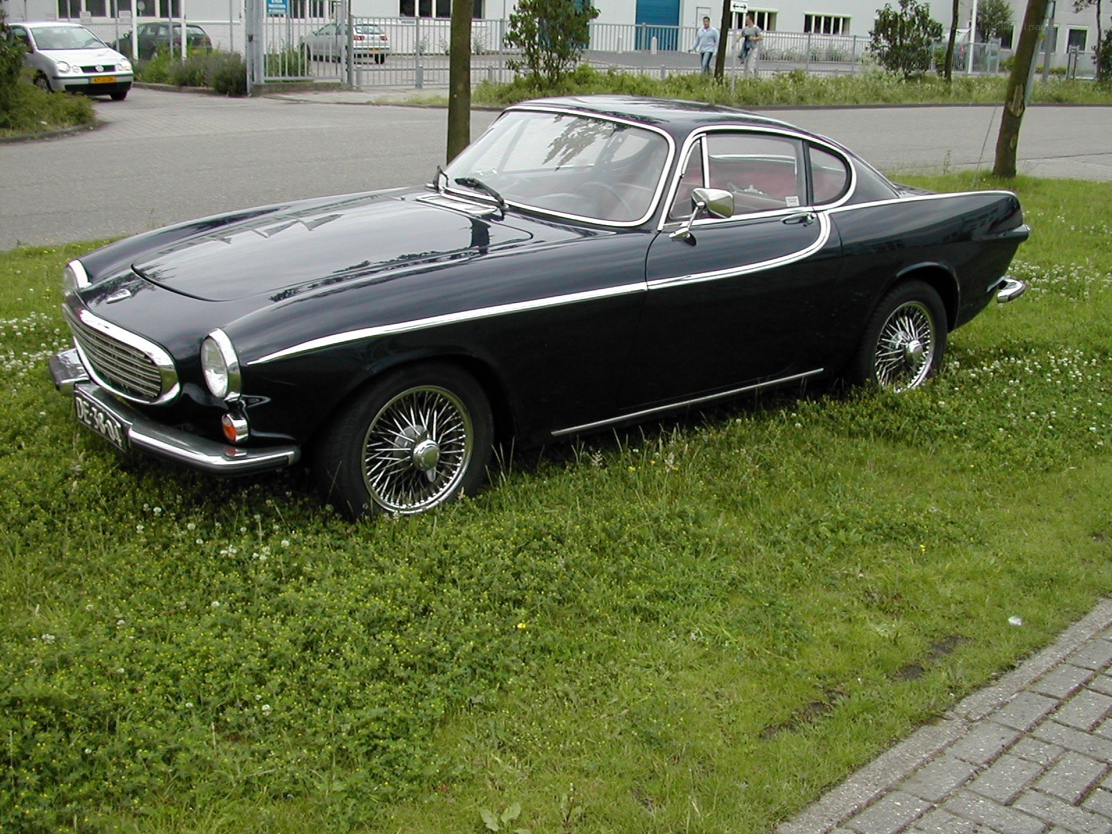 Black vintage coupe on grass