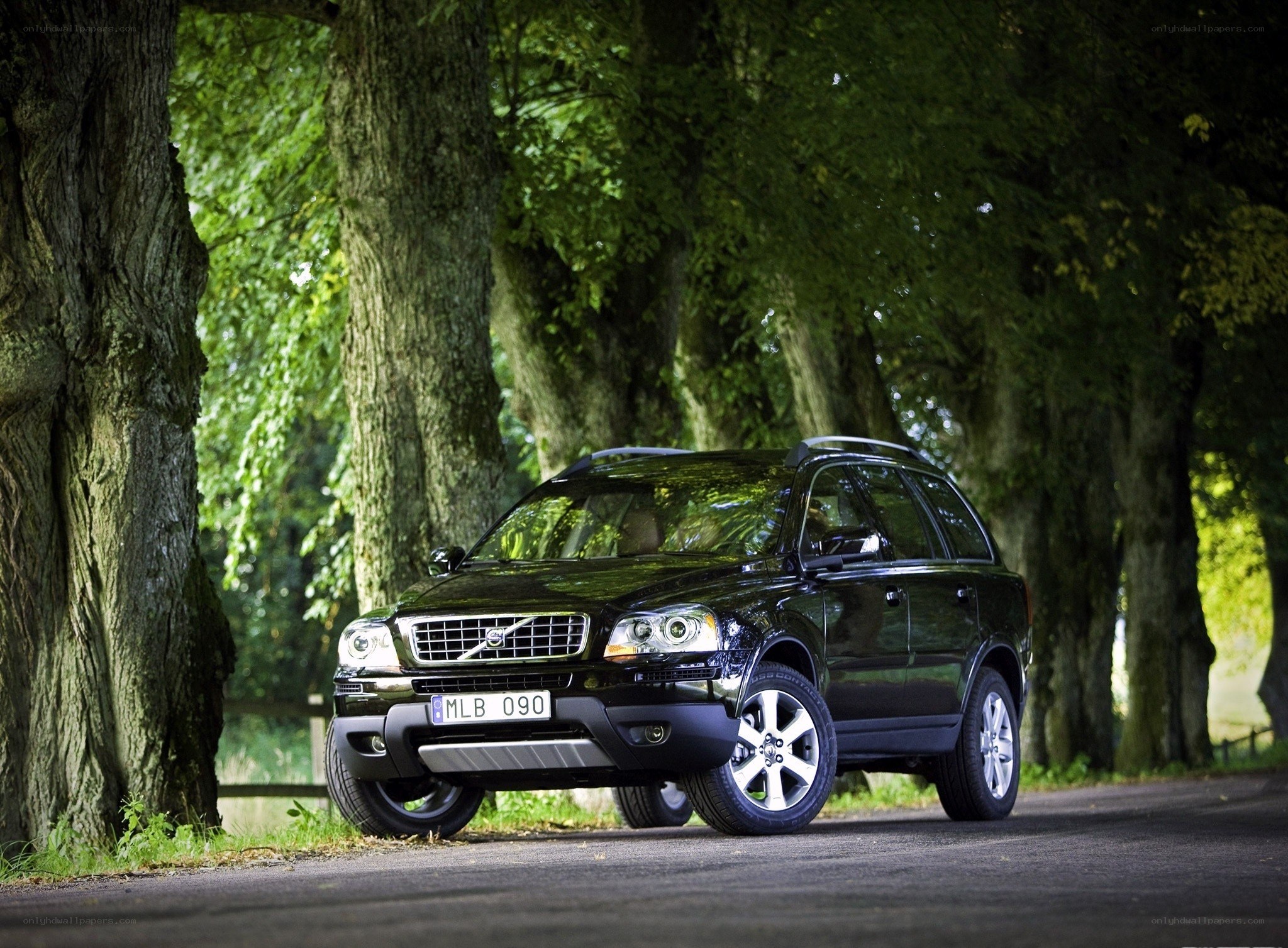 Black Volvo XC90 on a tree-lined road