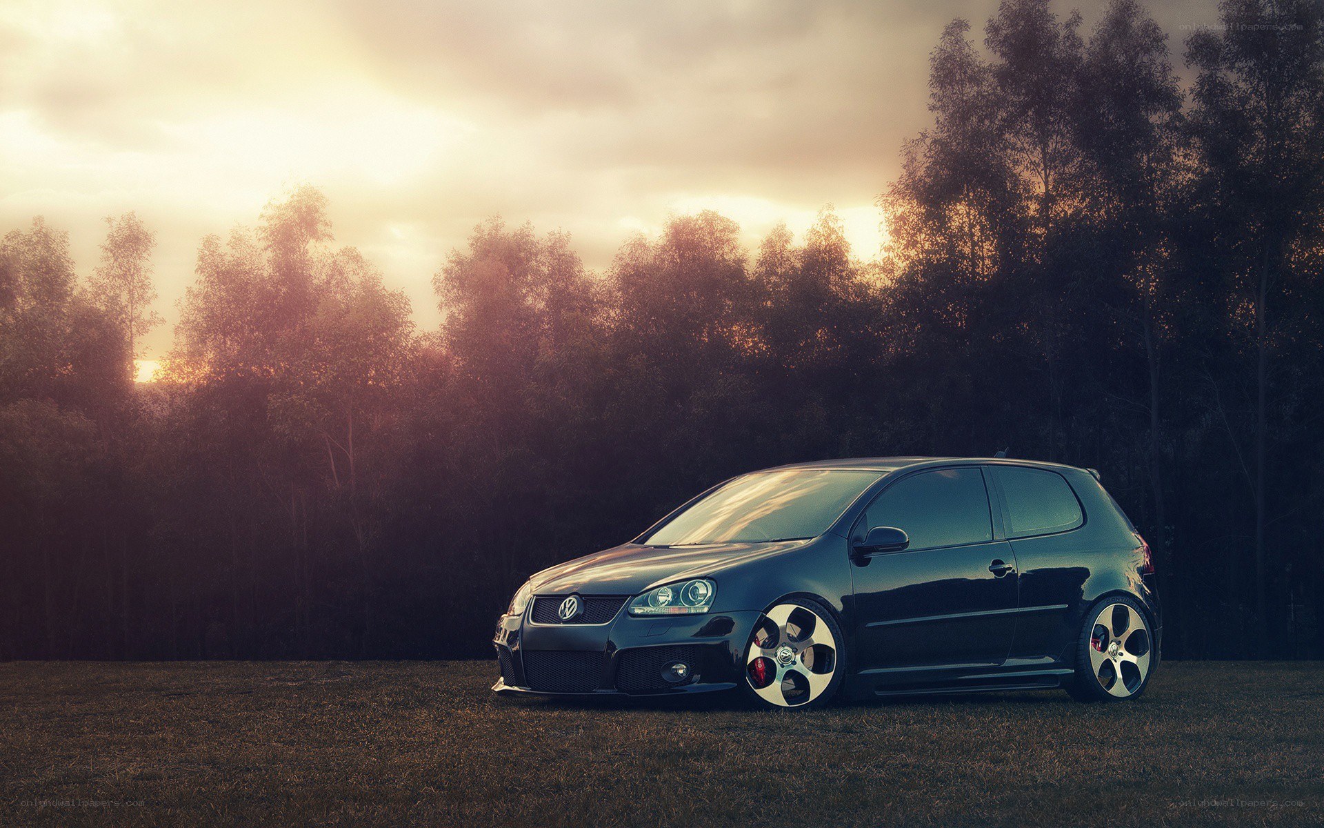 Black VW Golf in a field
