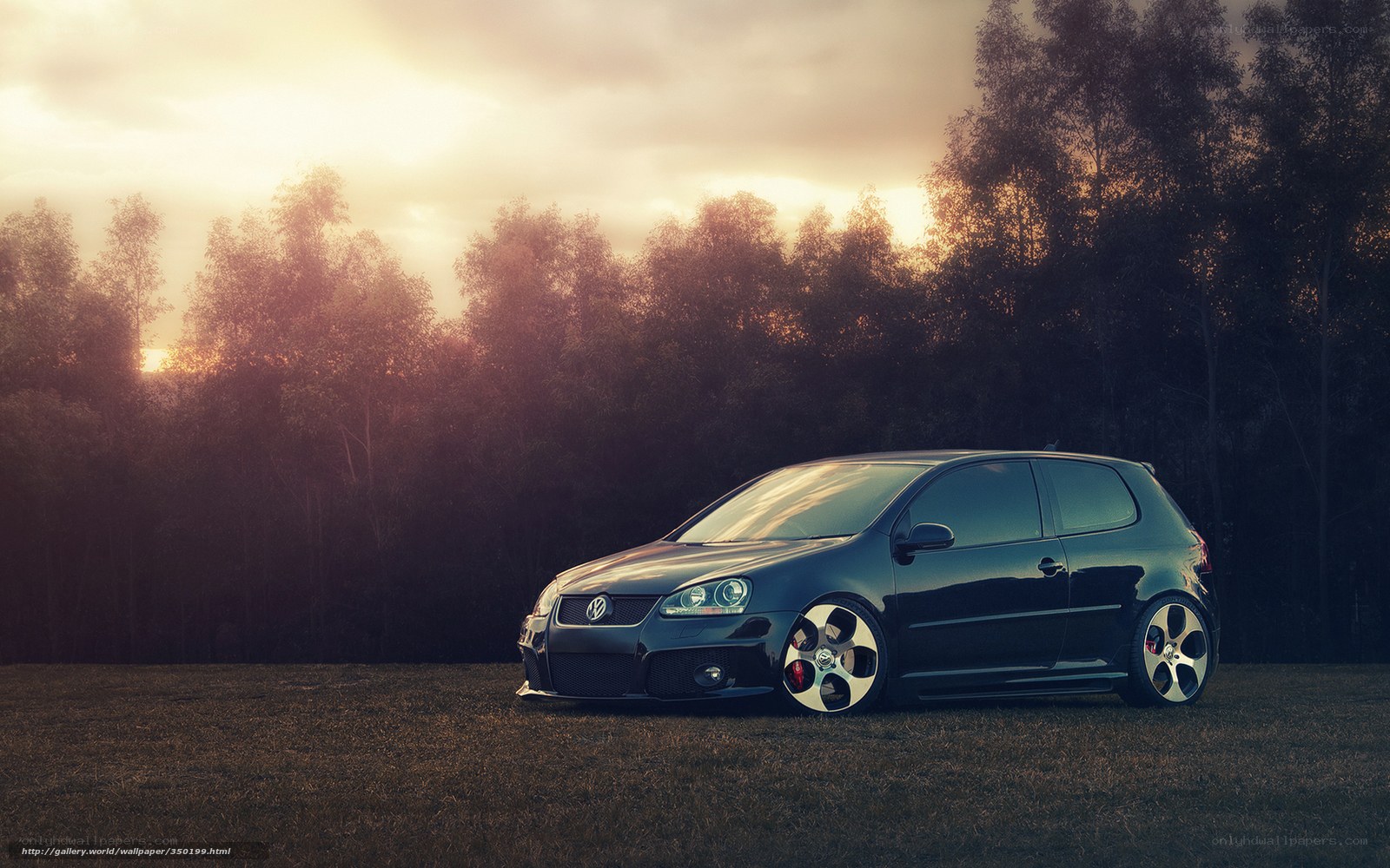 Black VW Golf in a field