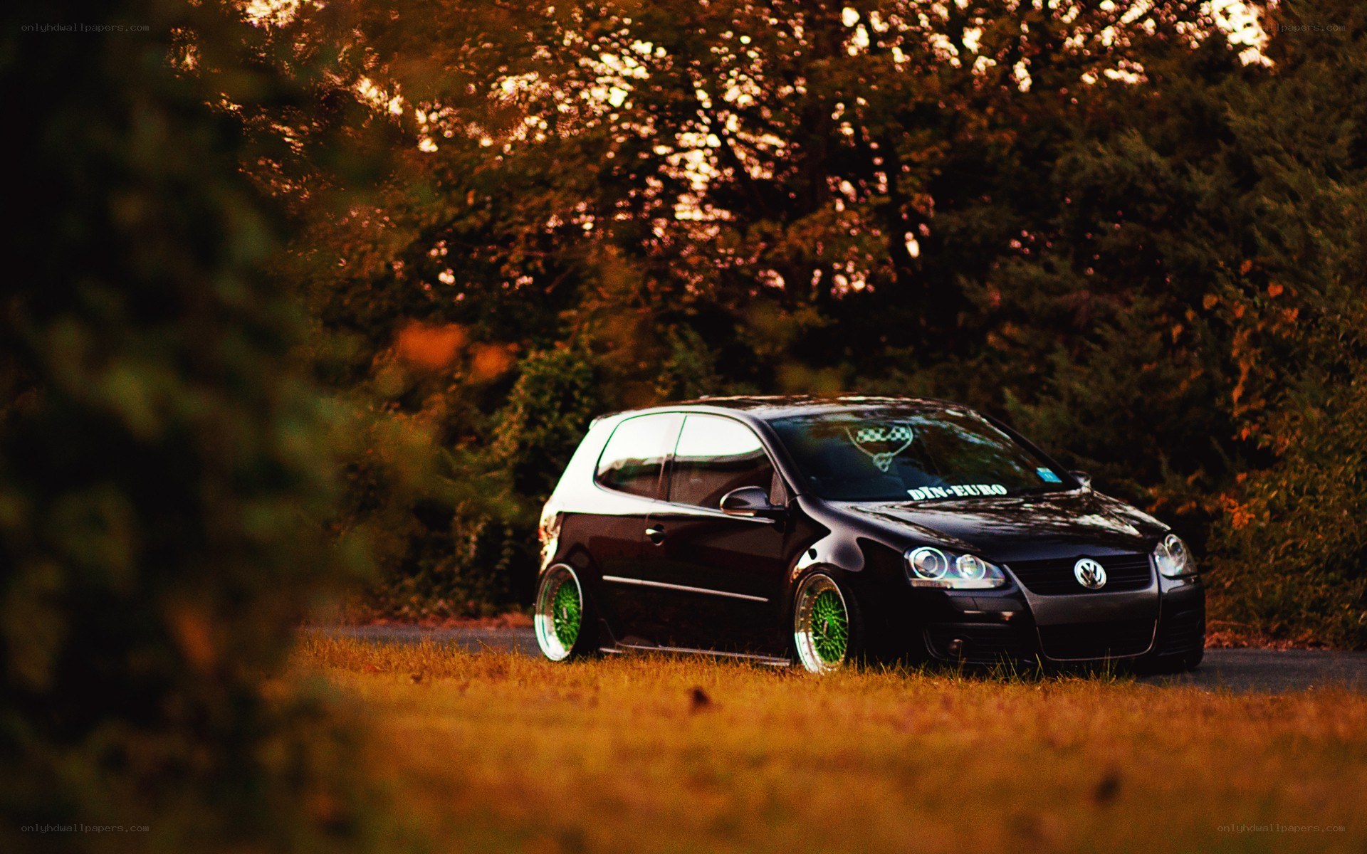 Black VW Golf in autumn forest