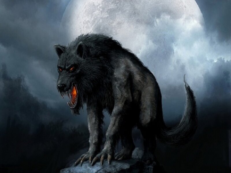 Black Werewolf on Rock