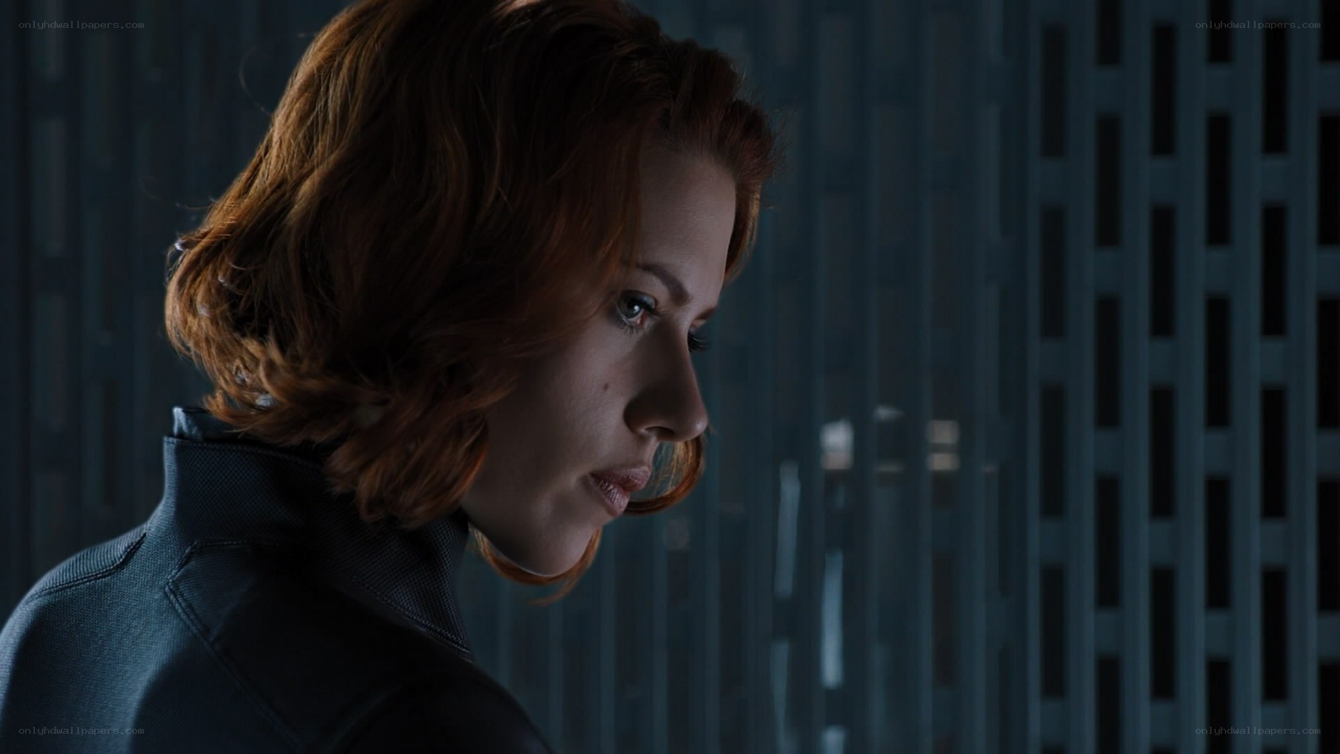 Black Widow in profile