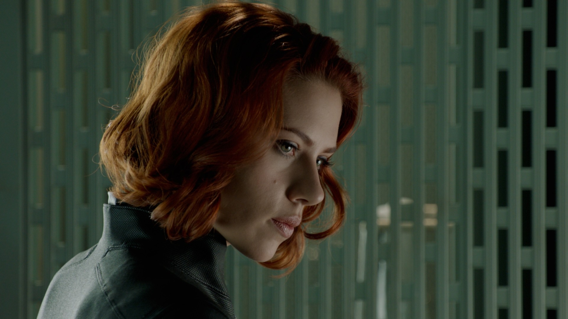 black widow in profile