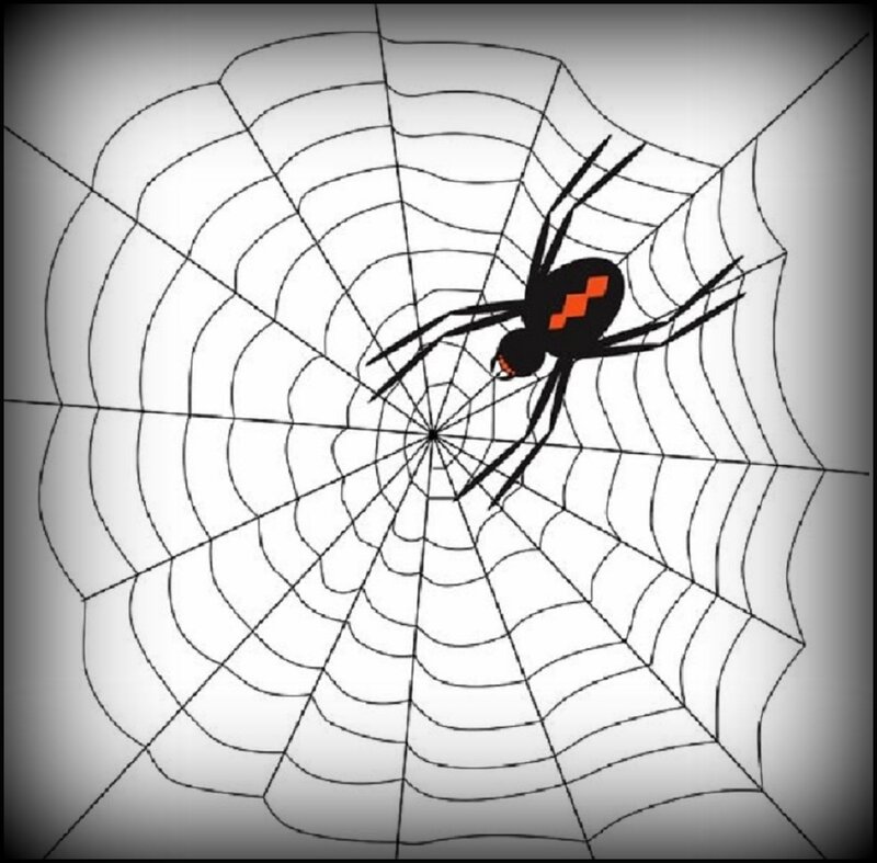 Black Widow Spider — Creepy