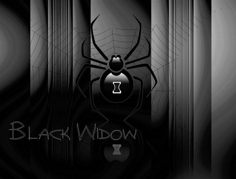 Black Widow Spider