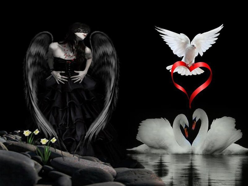 Black-winged Angel — Black