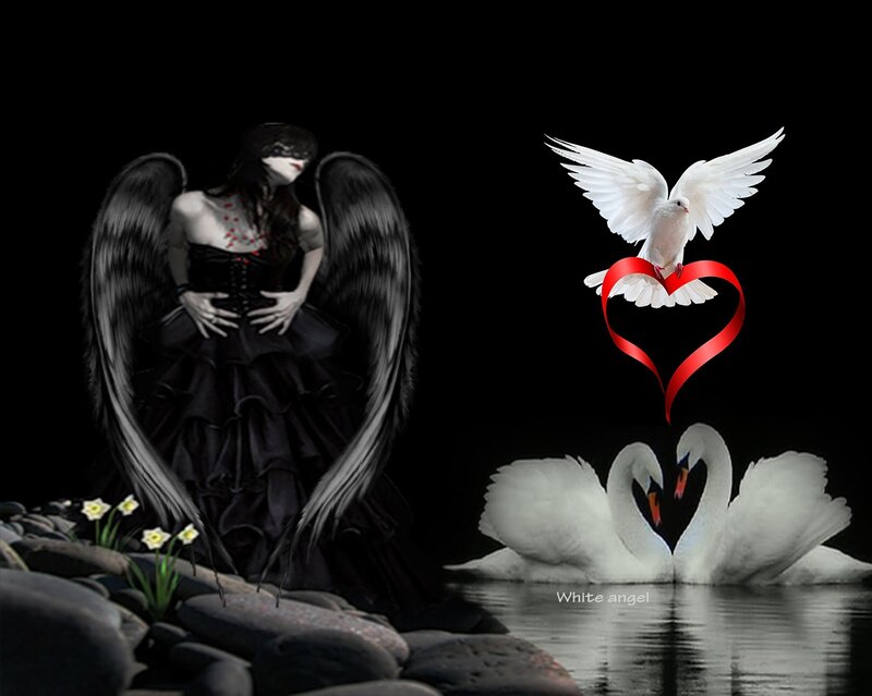 Black-winged Angel