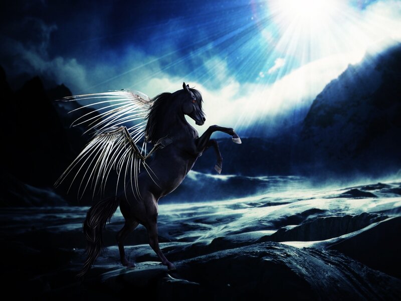 Black Winged Horse — Blue, Dramatic, Night