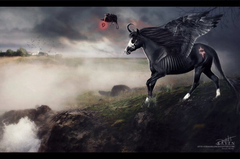 Black Winged Horse — Dramatic, Night