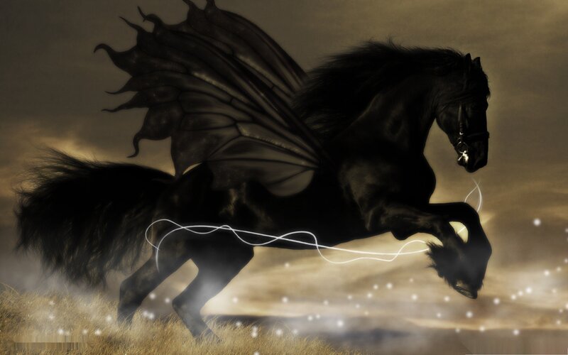 Black Winged Horse — Dramatic, Sunset