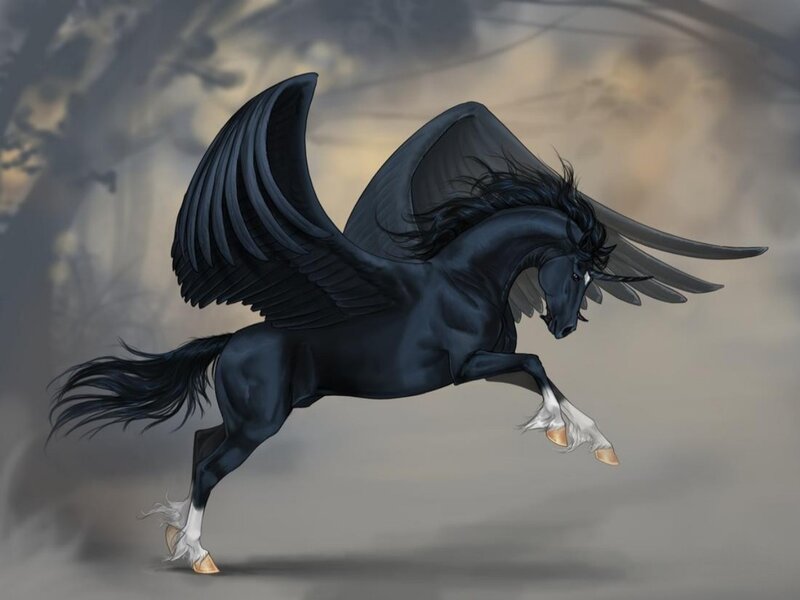 Black Winged Horse — Dramatic