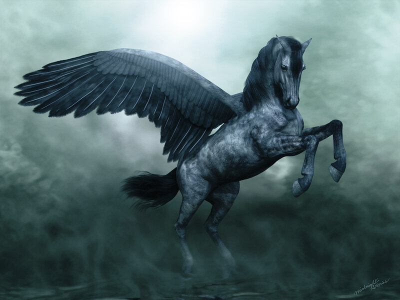 Black Winged Horse — Gray, Dramatic