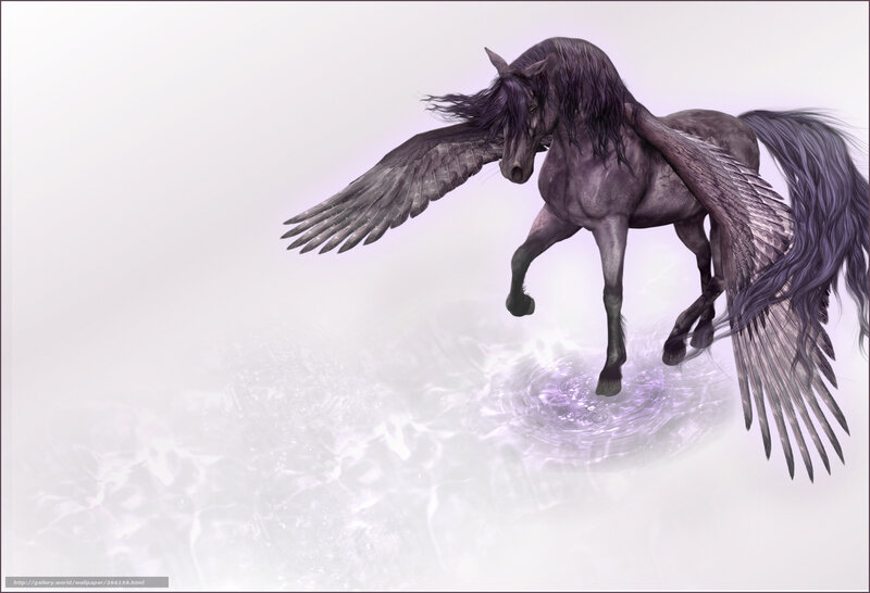Black Winged Horse — Gray, Serene