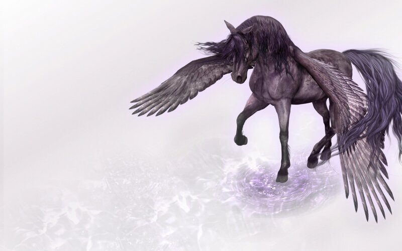 Black Winged Horse — Gray