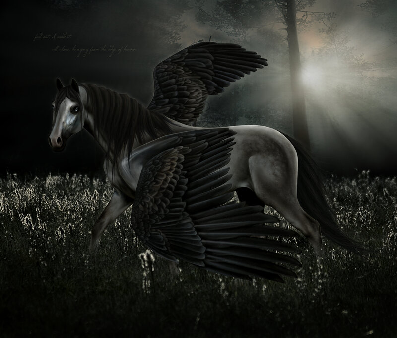 Black-winged Horse in Field — Gray