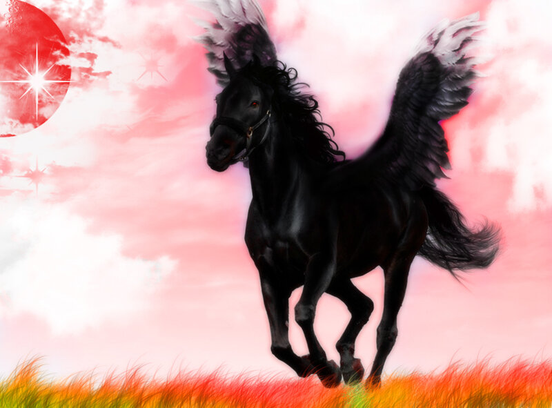 black winged horse in sunset