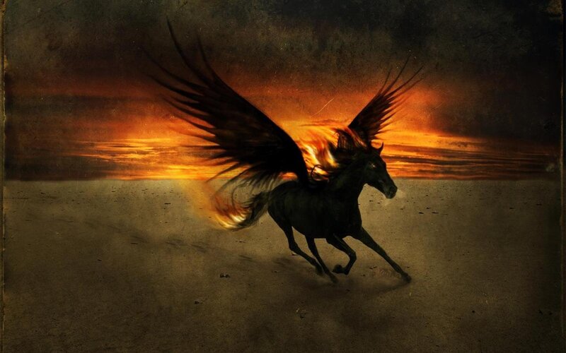 Black Winged Horse — Orange