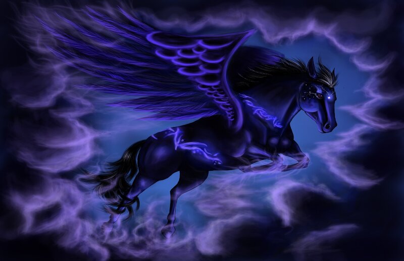 Black Winged Horse — Purple, Dramatic, Night