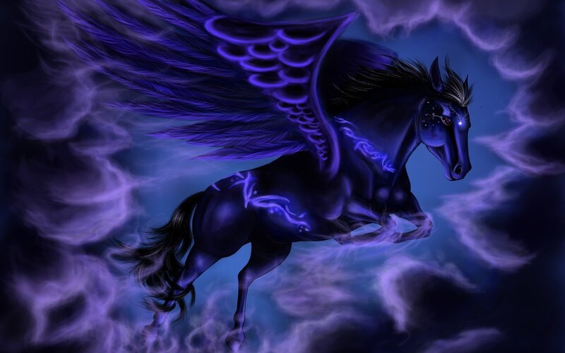 Black Winged Horse — Purple, Dramatic