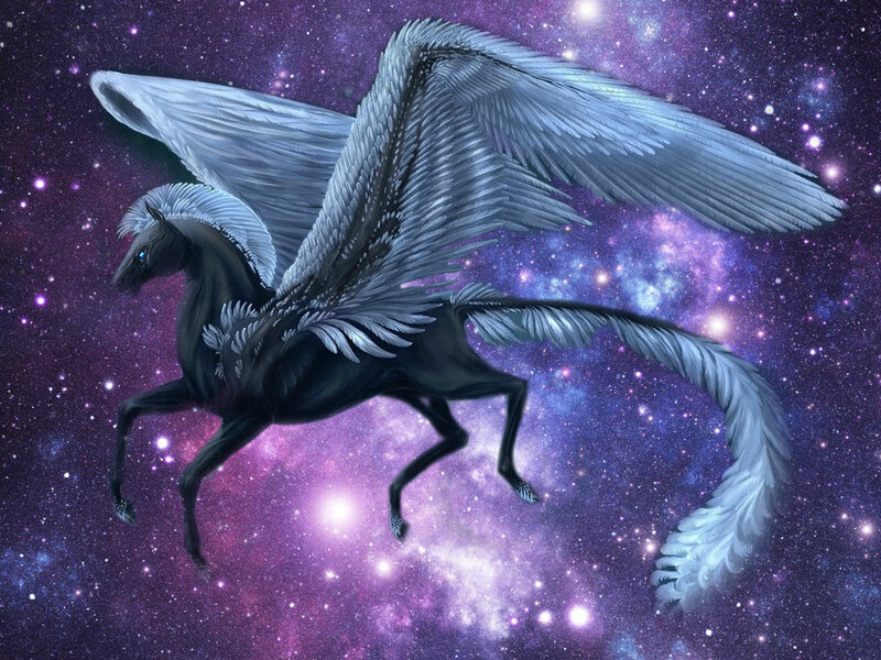 Black Winged Horse — Purple